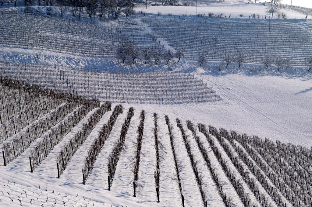 Cascina Arcangelo Raffaele Verduno Exterior foto
